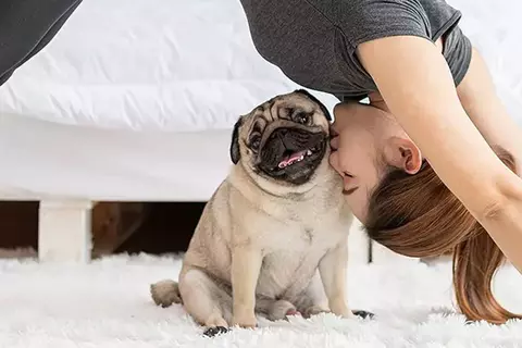 Frau mit Hund macht Yoga