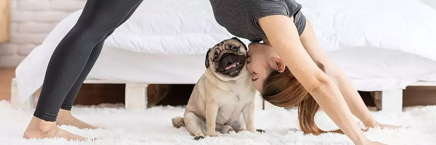 Frau mit Hund macht Yoga