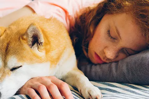Schlafende Frau neben schlafendem Hund